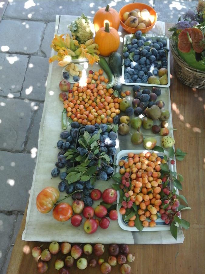 Bio&B Cascina Montebello 팔라짜고 외부 사진